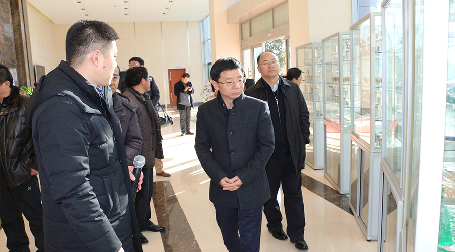 人民日報安徽分社、人民網人民健康各級領導蒞臨安徽九洲方圓制藥有限公司參觀指導